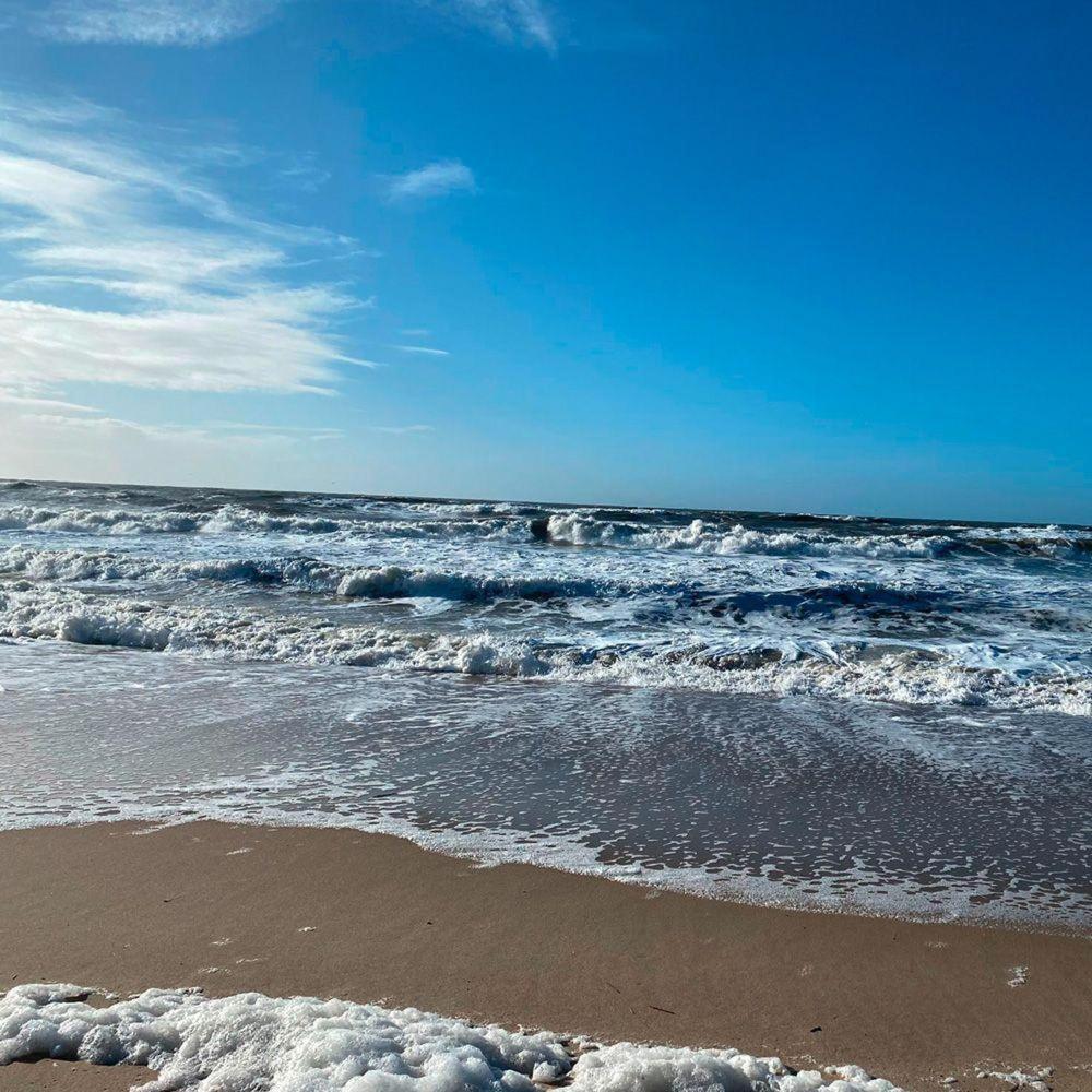 Ocean-view-ii-holiday-apartments-sylt Rantum (Sylt)